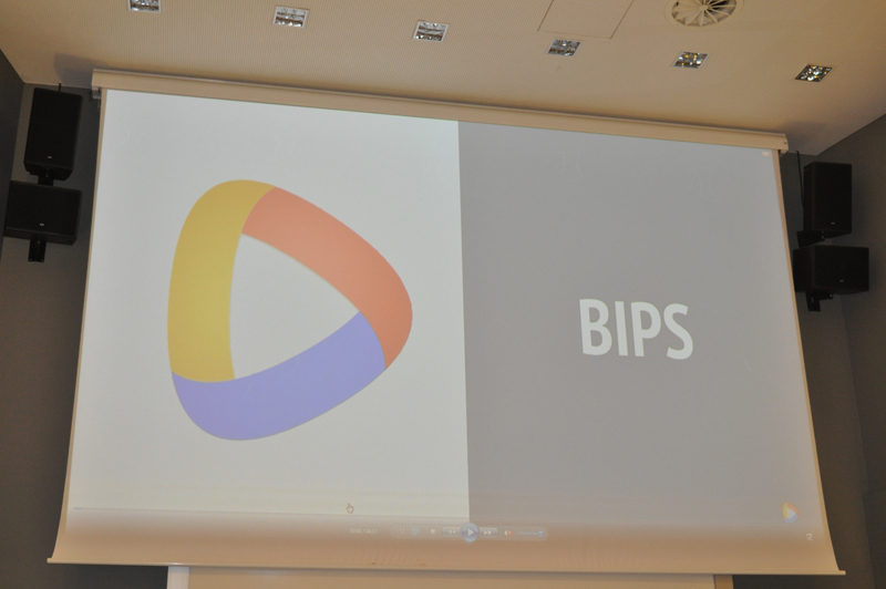 BIPS – podsumowanie pierwszej edycji programu